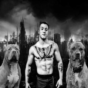 Meet your Posher, Avery